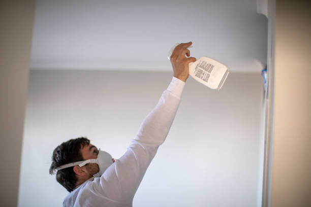 Best Best Mold Removal Companies  in Salida, CA