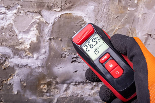 Best Certified Mold Removal  in Salida, CA
