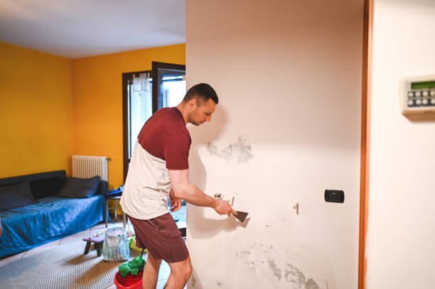 Best Certified Mold Removal  in Salida, CA