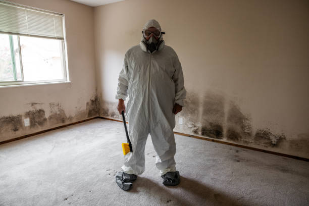 Best Fast Mold Removal  in Salida, CA